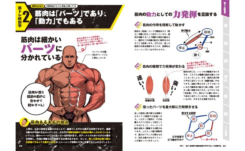 PREORDER Cognitive Strength Training: The Science of What Really Works