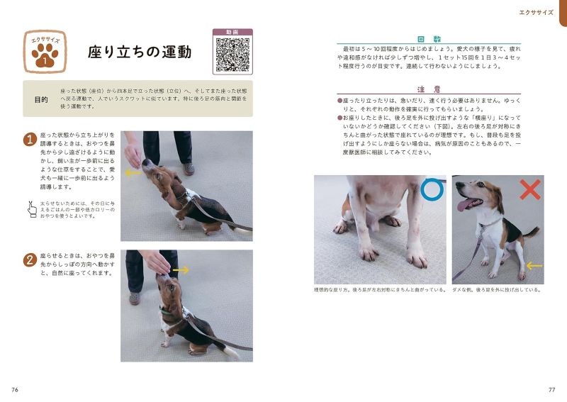 PREORDER Body Care for Your Dog: Massage, Exercise and Walking Support by a Veterinarian