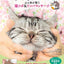PREORDER Melt-in-Bliss Cats: Acupressure & Lymphatic Massage for Feline Wellness