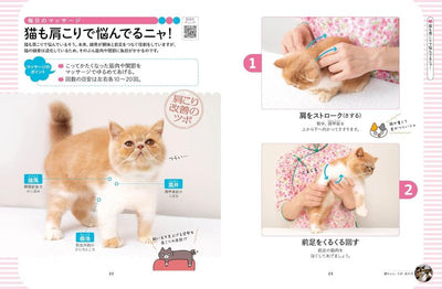 PREORDER Melt-in-Bliss Cats: Acupressure & Lymphatic Massage for Feline Wellness
