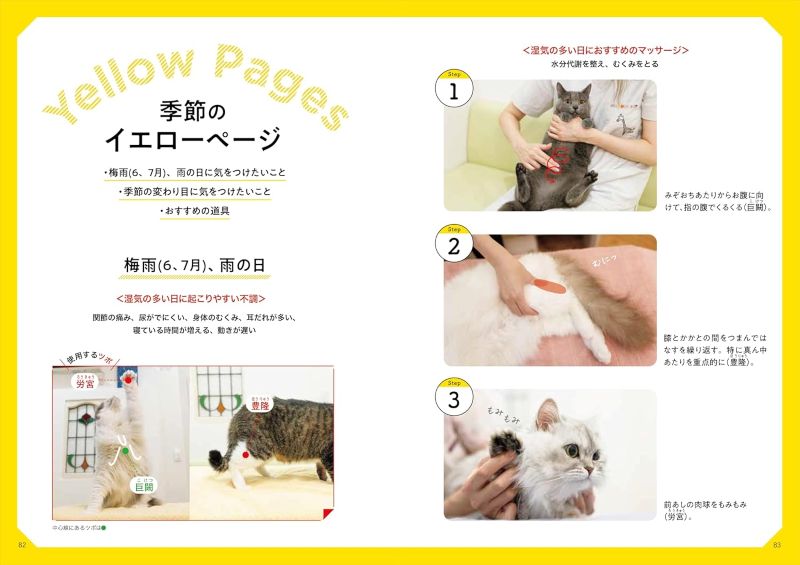 PREORDER Seasonal Cat Massage: Year-Round Care for Your Cat’s Well-Being