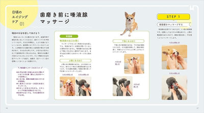 PREORDER Canine Aging Care
