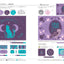 PREORDER The 3+1 Color Recipe: Create Both Classic and Advanced Color Schemes with Ease