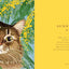 PREORDER Cat Color Palette: A Journey Through the Seasons and the World