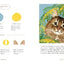 PREORDER Cat Color Palette: A Journey Through the Seasons and the World