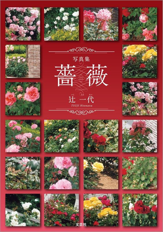 PREORDER Rose Photography Collection