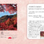 PREORDER Japanese Traditional Colors: Discover Your Ideal Color