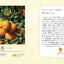 PREORDER Japanese Traditional Colors: Discover Your Ideal Color