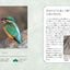 PREORDER Japanese Traditional Colors: Discover Your Ideal Color