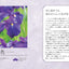 PREORDER Japanese Traditional Colors: Discover Your Ideal Color