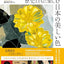 PREORDER Beautiful Colors of Japan Through History