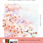 PREORDER Japanese Color Schemes