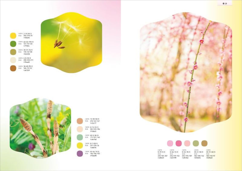 PREORDER Japanese Color Schemes