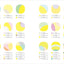 PREORDER Japanese Color Schemes