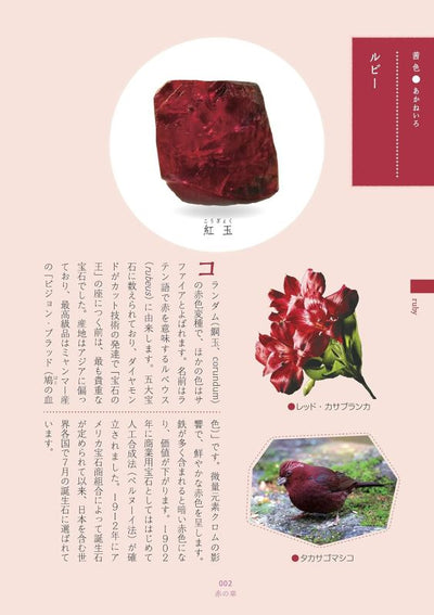PREORDER Earth Colors: Minerals and Traditional Japanese Hues