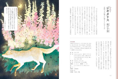 PREORDER An Illustrated Encyclopedia of Flowers with Stories
