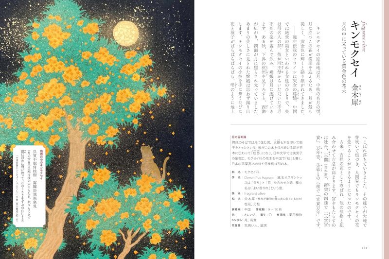 PREORDER An Illustrated Encyclopedia of Flowers with Stories