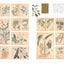 PREORDER The Great Illustrated Encyclopedia of Edo Science