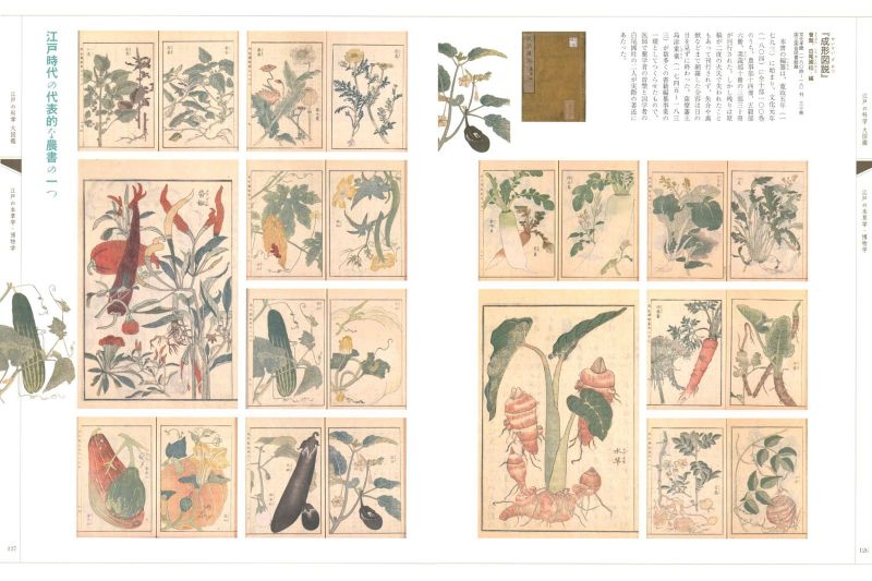 PREORDER The Great Illustrated Encyclopedia of Edo Science