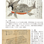 PREORDER Illustrated Guide to Japanese Mythical Beasts