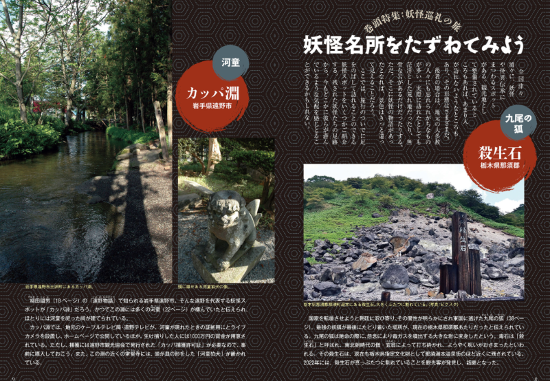 PREORDER Illustrated Encyclopedia of Japanese Yokai