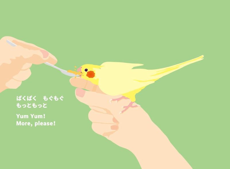 PREORDER Kawaii Kotori-chan the Cockatiel