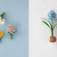 PREORDER Eco-Craft Flowers: Just Cut and Paste