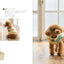 PREORDER Cute Dog Clothes Everyone Will Admire