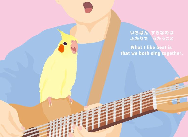 PREORDER Kawaii Kotori-chan the Cockatiel