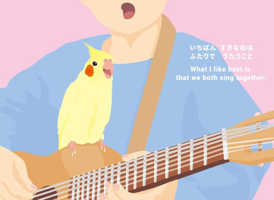 PREORDER Kawaii Kotori-chan the Cockatiel