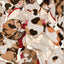PREORDER Cats in All Four Seasons: Ono Mai Art Book
