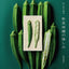 PREORDER The Joy of Vegetable Embroidery with Needle and Thread