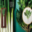 PREORDER The Joy of Vegetable Embroidery with Needle and Thread