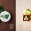 PREORDER The Joy of Vegetable Embroidery with Needle and Thread