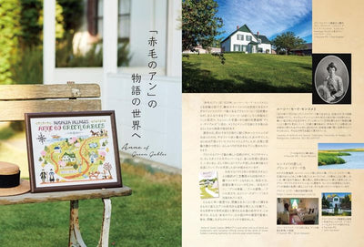 PREORDER Anne of Green Gables Cross Stitch: Stitching the World of the Story