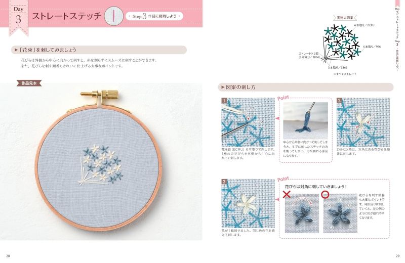 PREORDER Learn Basic Embroidery Stitches in 30 Days