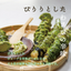 MD Holdings Wasabi Flavored Fava Bean Snack