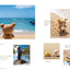 PREORDER Life with Rilakkuma in Hawaii
