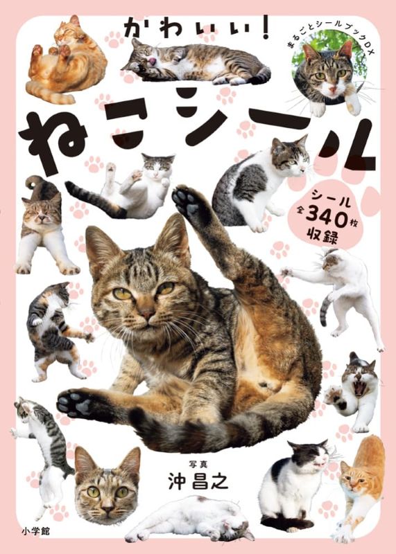 PREORDER Cute! Cat Stickers