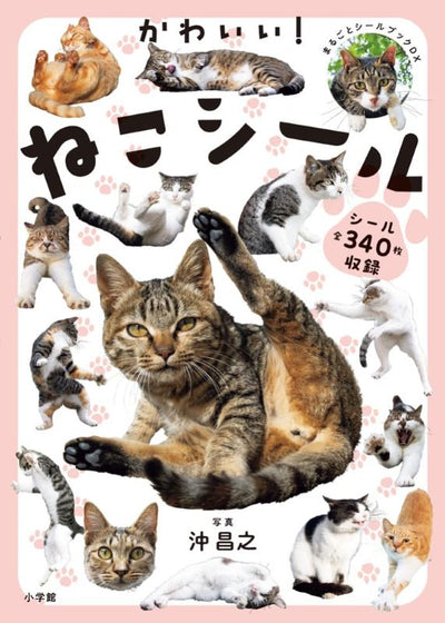 PREORDER Cute! Cat Stickers