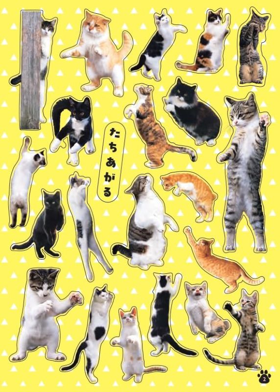 PREORDER Cute! Cat Stickers