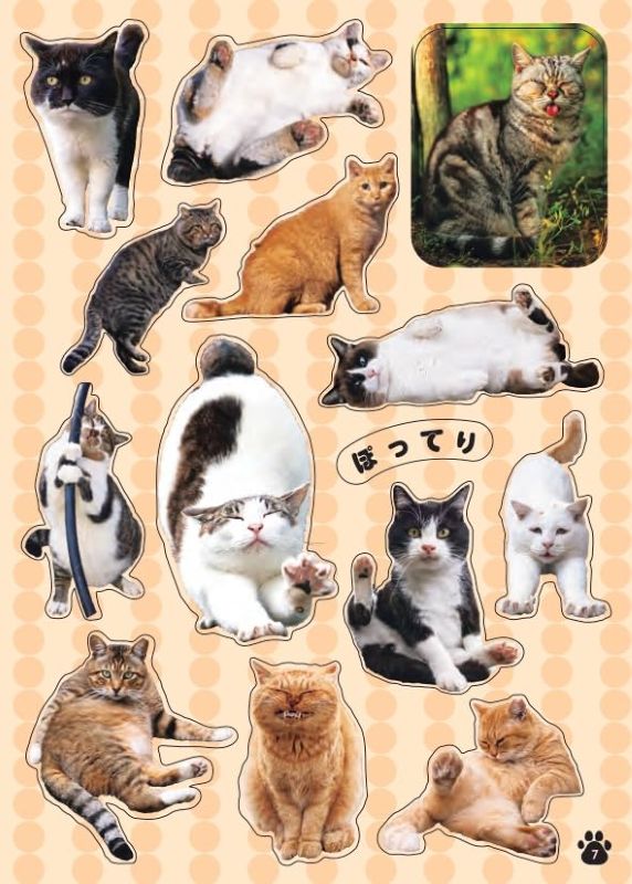 PREORDER Cute! Cat Stickers
