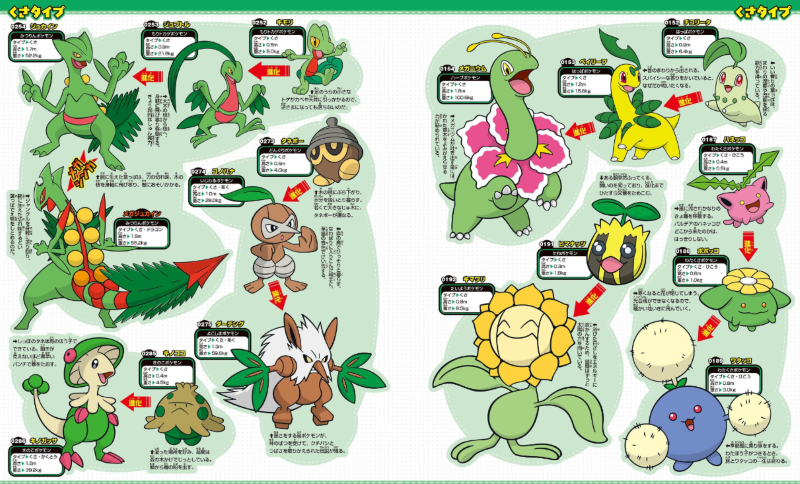 PREORDER Pokémon Great Encyclopedia 1020+