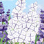 PREORDER Sticker Puzzle Book: Beautiful Flowers