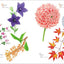 PREORDER  24 Solar Terms Flower Coloring Book: Coloring the Seasons with 24 Flowers