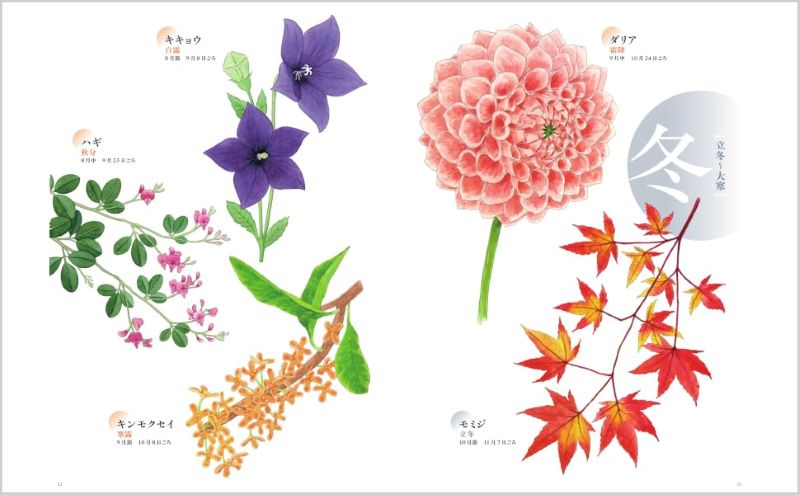 PREORDER  24 Solar Terms Flower Coloring Book: Coloring the Seasons with 24 Flowers
