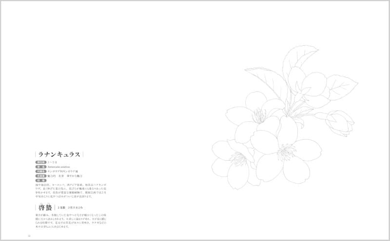 PREORDER  24 Solar Terms Flower Coloring Book: Coloring the Seasons with 24 Flowers