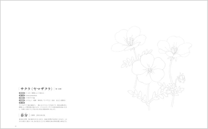 PREORDER  24 Solar Terms Flower Coloring Book: Coloring the Seasons with 24 Flowers