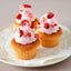 PREORDER Cute Rice Flour Sweets Made in a Muffin Pan