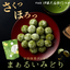 Itohkyuemon Marui Midori Sea Salt Matcha Polvorone Cookies